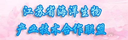 关于2026届本科毕业生2025-2